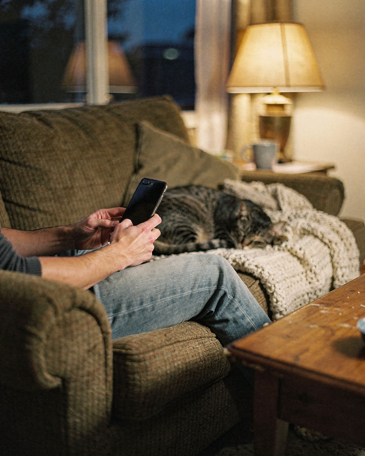 Someone on a couch in the evening holding a phone, a tabby cat asleep beside them